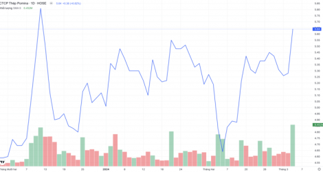 Cổ phiếu POM dậy sóng sau phiên họp cổ đông bất thường