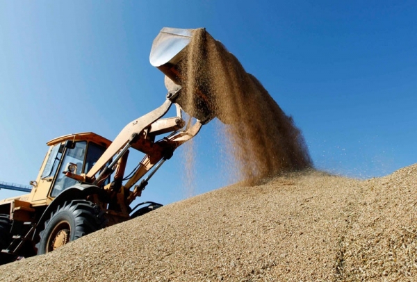 Wheat imports from Brazil increased sharply by nearly 93%