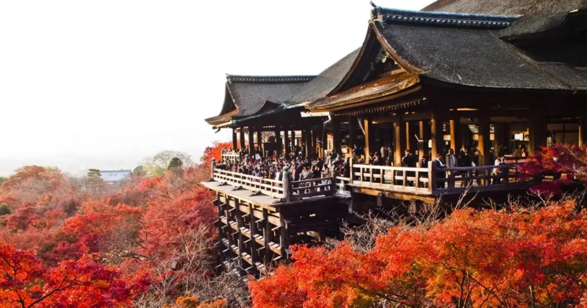 The red leaf season in Japan comes late