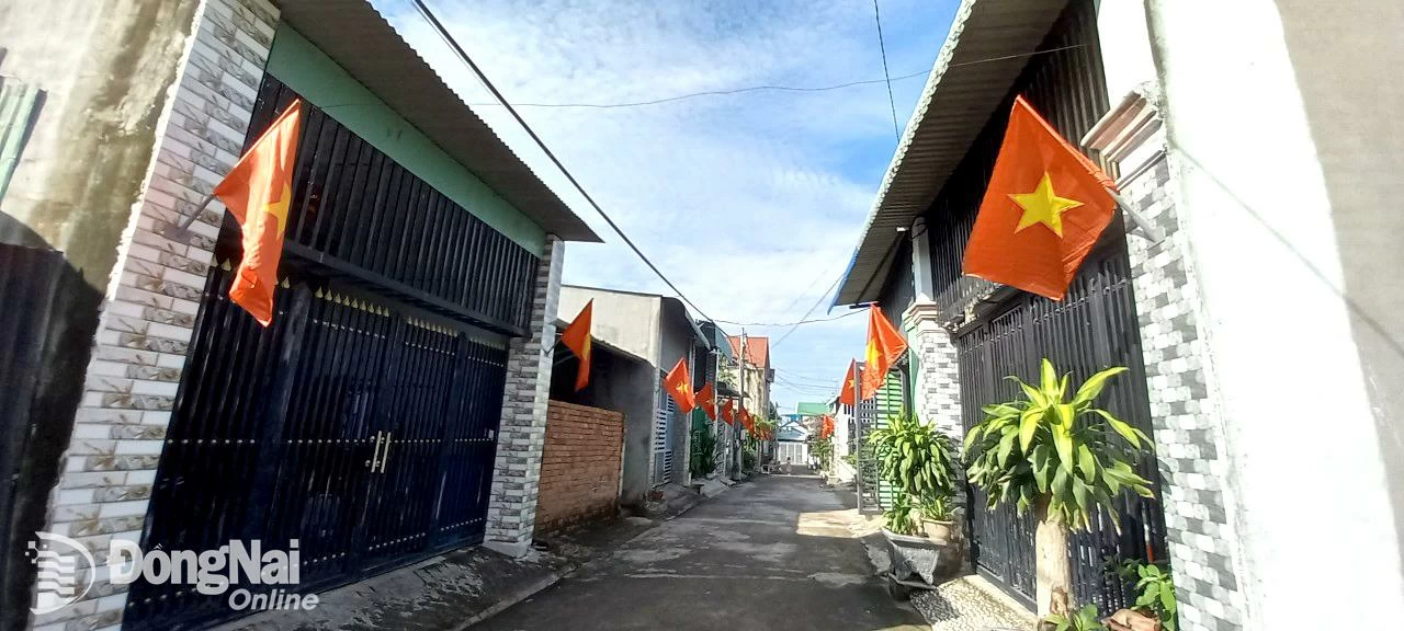 Despliegue de la campaña comunicacional “Hacia la Bandera Nacional”