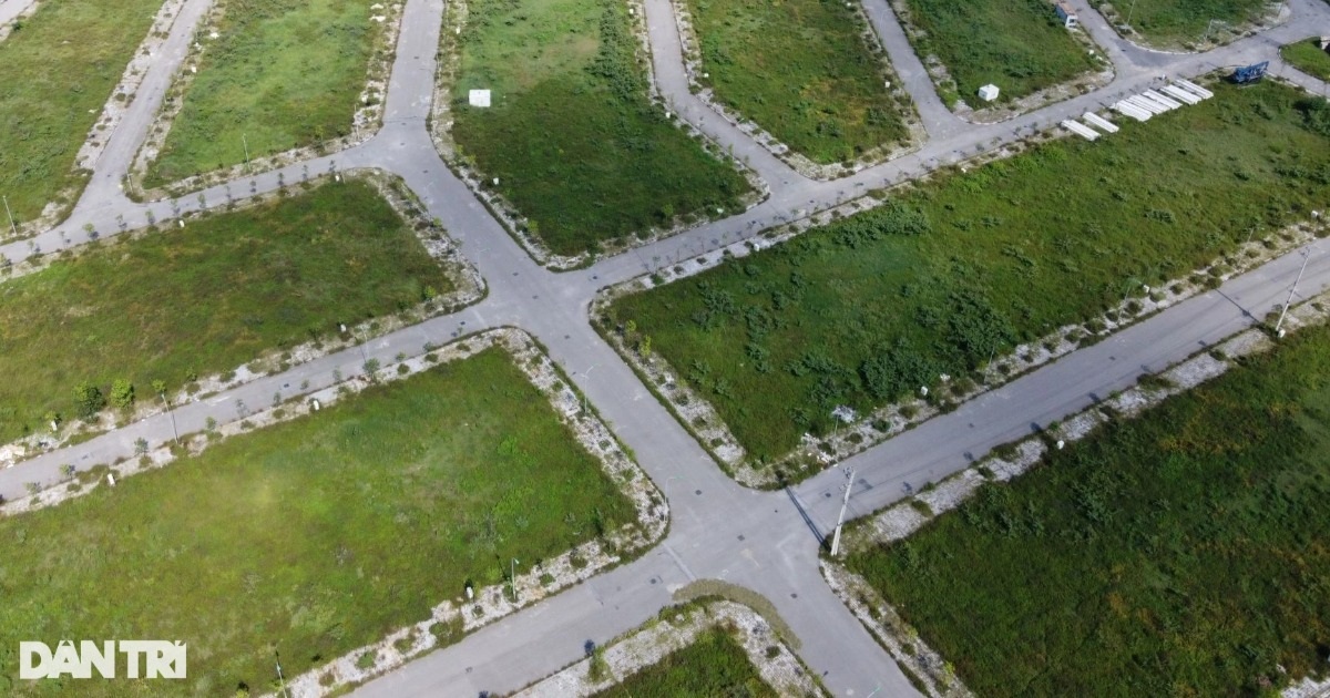 In Thanh Hoa herrscht reger Betrieb bei den Landauktionen