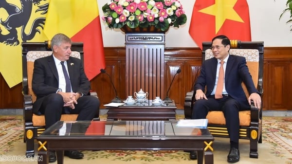 El Ministro-Presidente de Flandes encabeza una delegación de 30 grandes empresas belgas que visita Vietnam