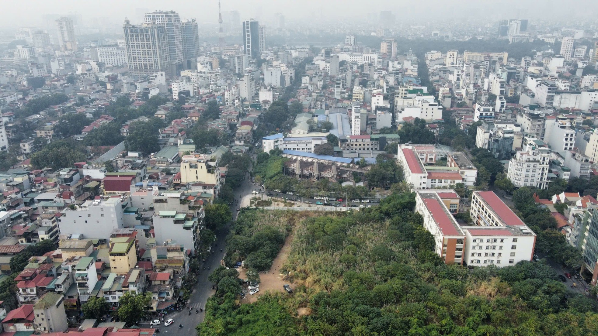 Unkraut wächst wild wie ein „Wald“ auf einem erstklassigen Grundstück in Hanoi und zerstört die Wohnfunktion. Foto 4