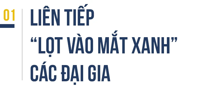 Hút giới siêu giàu tới Việt Nam, tại sao không ? - Ảnh 1.