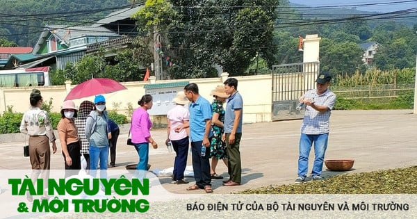 Vườn Quốc gia Cúc Phương