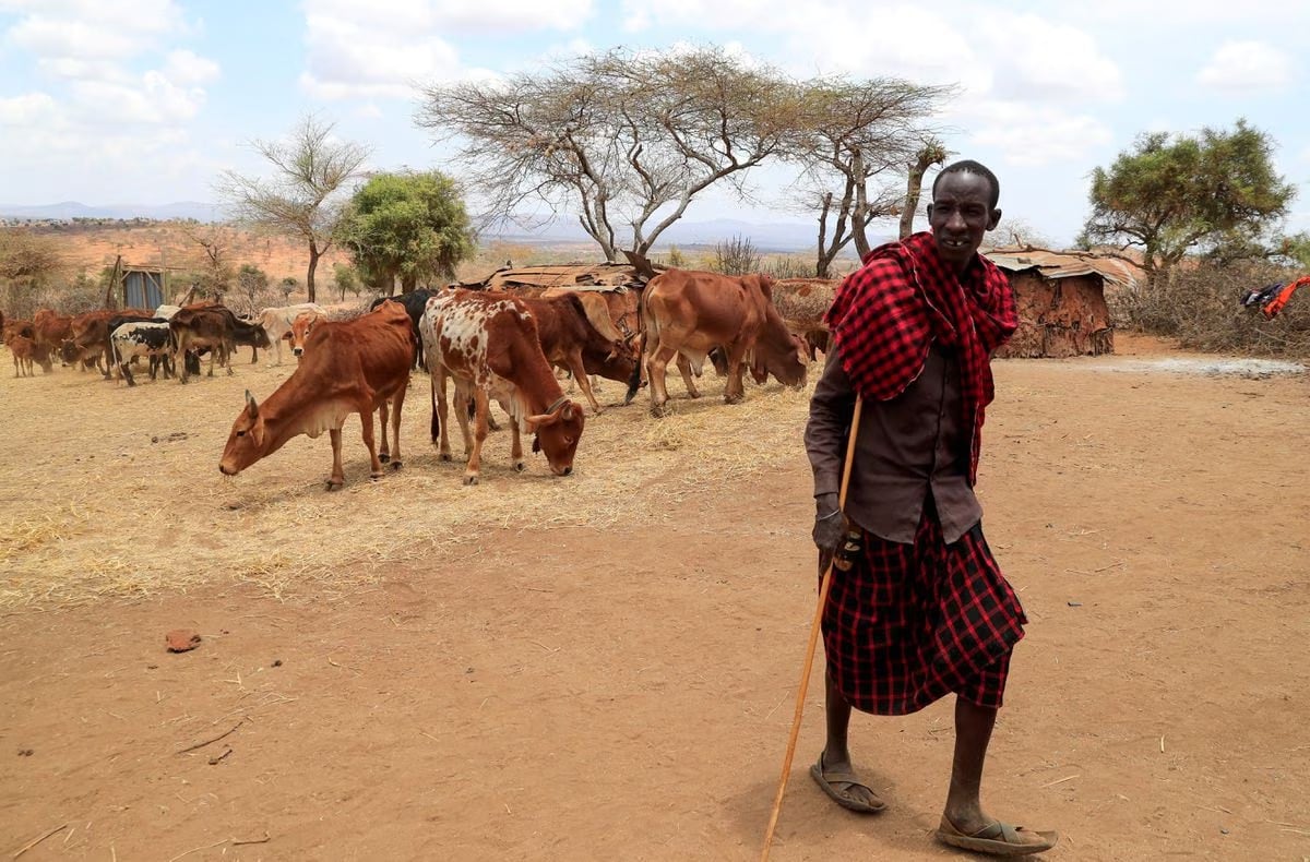 Ohne den Klimawandel wäre die Forschung zu Dürren in Afrika nicht möglich gewesen.