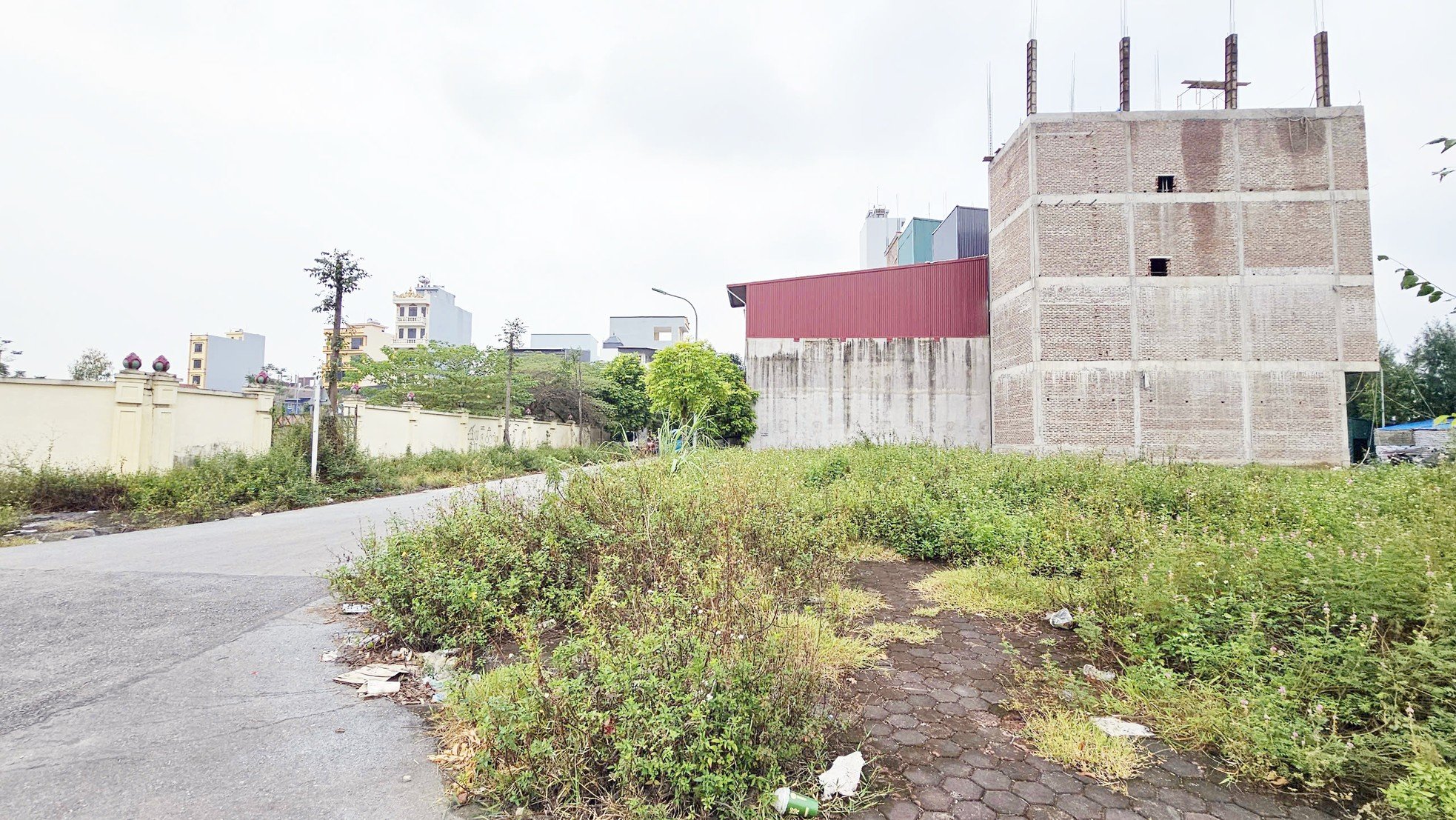 Primer plano de un terreno con vista al cementerio de Hanoi, subastado por 262 millones de VND/m2, foto 7