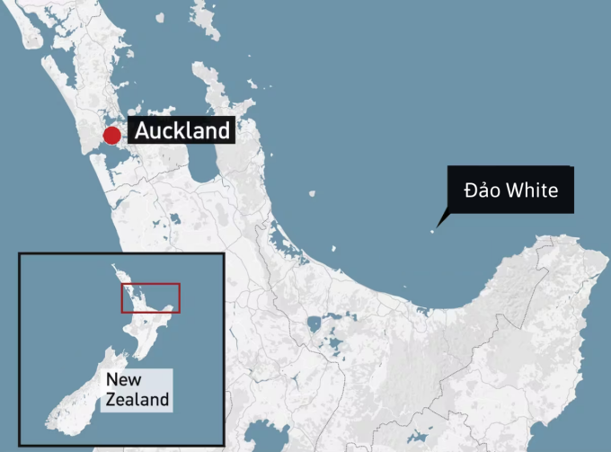 Ubicación de la Isla Volcánica Blanca en Nueva Zelanda. Gráficos: CBC