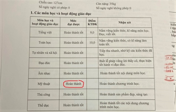 Sốc vì học bạ xét tuyển lớp 6 toàn điểm 10 vẫn bị trường Amsterdam từ chối - 2