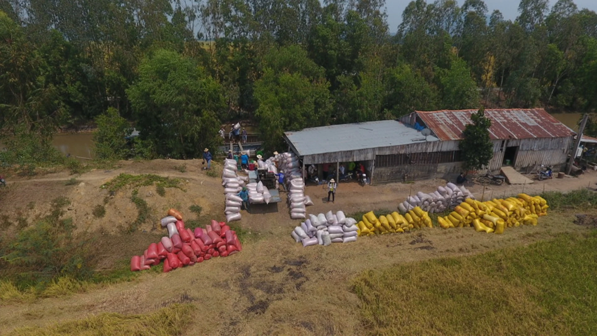 Promoting credit for key agricultural products in the Mekong Delta region photo 1