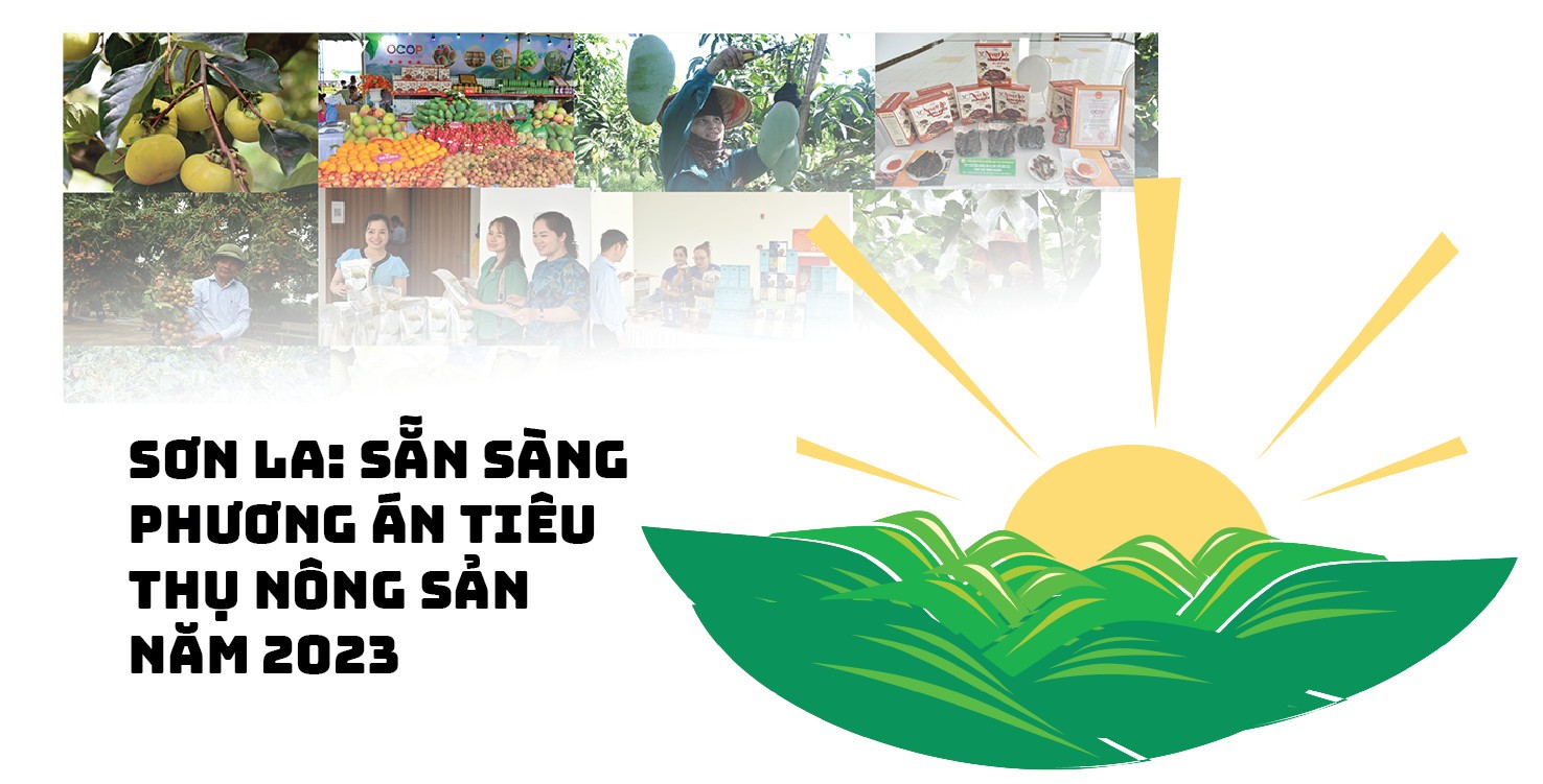 Longform | Son La: Listos para el plan de consumo de productos agrícolas en 2023