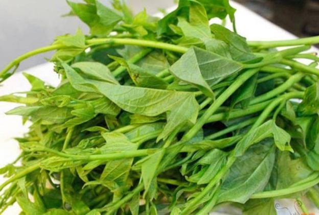 Efectos medicinales de las hojas de batata