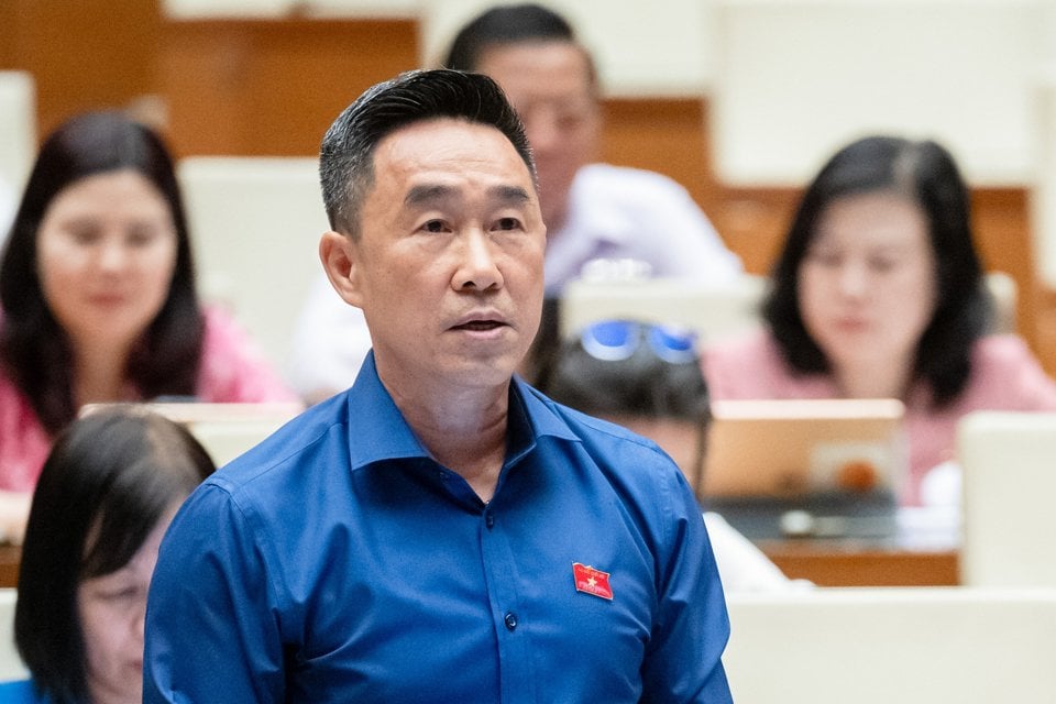 Délégué à l'Assemblée nationale Nguyen Hai Anh (Délégation provinciale de Dong Thap)