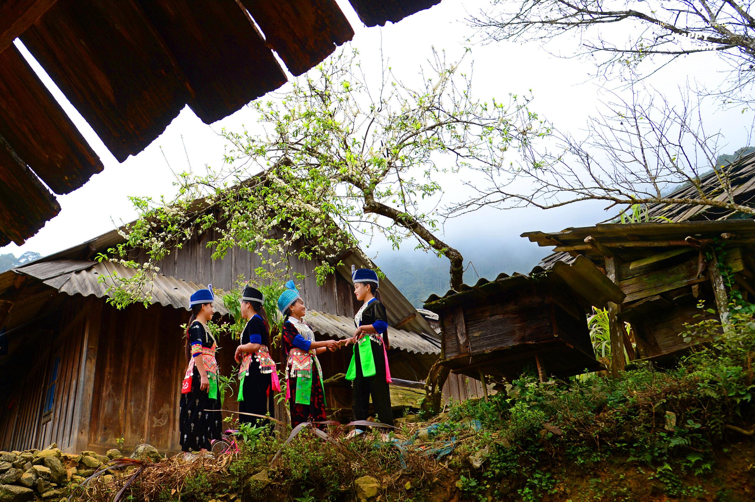 Das Werk „Hmong-Mädchen im Frühling“