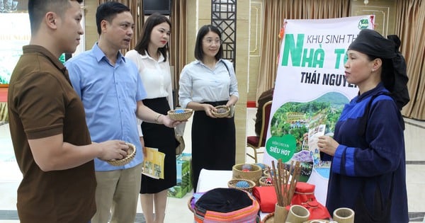 Förderung des Tourismus in Thai Nguyen - Vinh Phuc