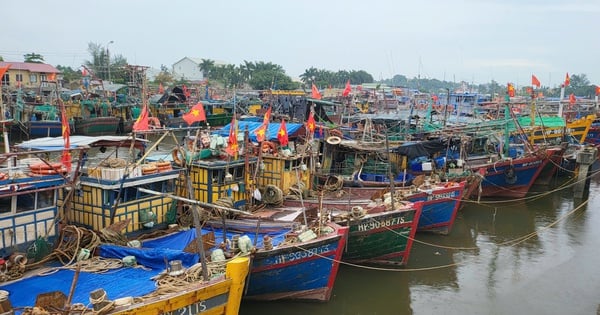 Fischerboote aus Hai Phong kehren in See, Preise für frische Meeresfrüchte verdoppeln sich