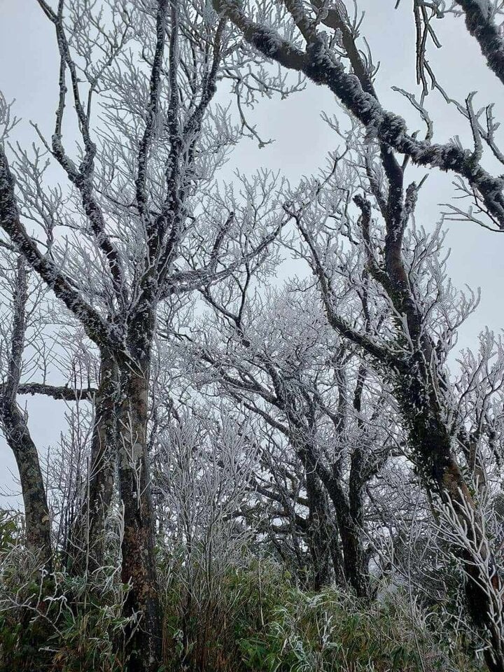 Frost began to appear in many mountainous areas from the afternoon of January 22 and may thicken in the coming days as the cold intensifies. (Source: Cao Bang Security Television)