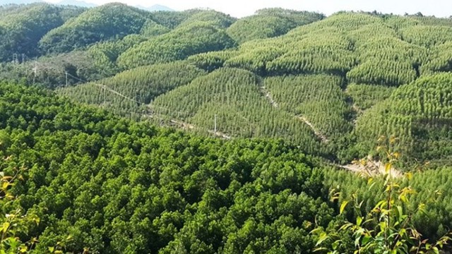 Annonce de la liste des 30 procédures administratives dans le secteur forestier