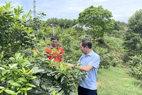 Tien Phu accélère la construction de nouvelles zones rurales avancées