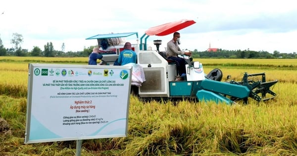 New style of rice cultivation has the highest profit of 25.8 million/ha, reducing 12 tons of CO2, Ministry of Agriculture and Rural Development wants to request a special mechanism on capital