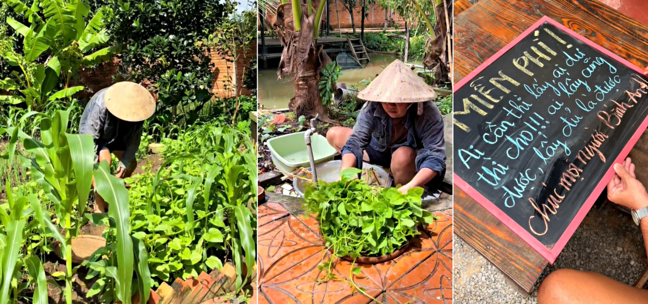 Padre e hijo en el oeste cultivan verduras limpias para regalar a los transeúntes