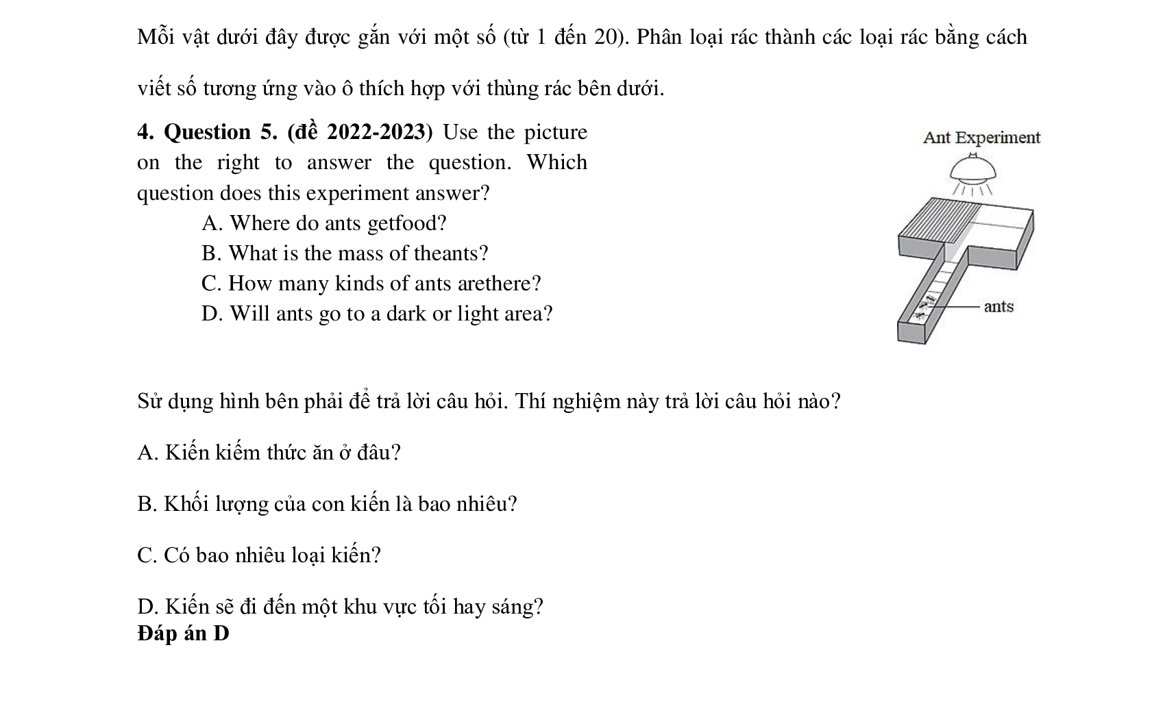 Có gì trong đề bài khảo sát năng lực lớp 6 Trường THPT chuyên Trần Đại Nghĩa? - Ảnh 5.