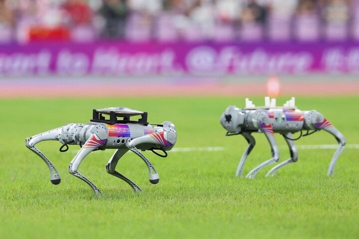 ASIAD 19에서 근무하는 로봇견. (사진: 게티이미지)