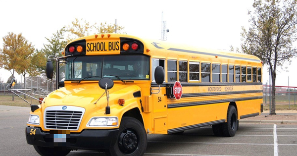 À partir de 2025, comment seront identifiés les autobus scolaires ?