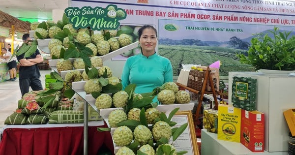 Un mapa especial de Vietnam, hecho íntegramente con frutas llamativas, apareció en un mercado en el centro de Hanoi.