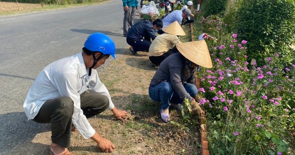 La nouvelle rue fleurie rurale de Tien Giang est d'une beauté époustouflante, avec des fleurs de pervenche en pleine floraison.