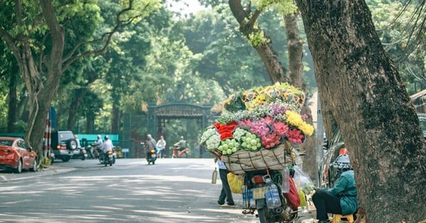 Du khách 20 năm vi vu khắp thế giới chia sẻ lý do quay lại Hà Nội