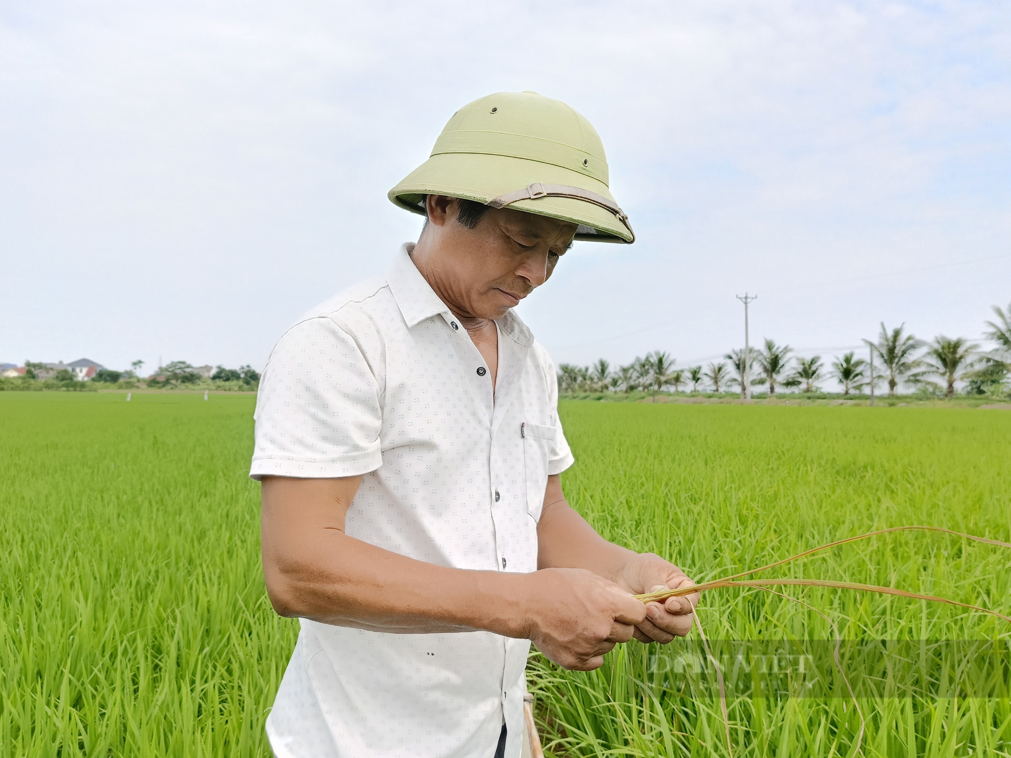 Từng bị gọi là 