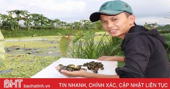 Nông dân Hà Tĩnh biến đất hoang thành các mô hình kinh tế hiệu quả