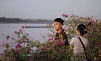 Young people invite each other to check in at a new, extremely chill sunset viewing spot in Hanoi