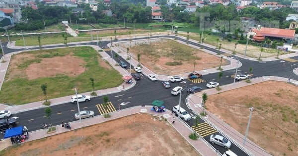 Primer plano de un terreno en un distrito suburbano de Hanoi que acaba de ser subastado, los corredores informaron una diferencia de 600 millones de VND / lote