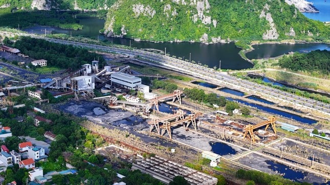 Le terrain « doré » pour construire un hôpital de 4 200 milliards est bloqué dans le défrichement à Quang Ninh, photo 2