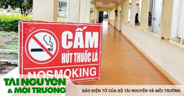 Tiêu chí xét tặng Giải thưởng Môi trường không thuốc lá