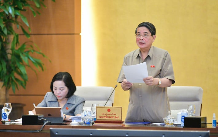 Le vice-président de l'Assemblée nationale, Nguyen Duc Hai, a pris la parole lors de la réunion. Photo: Quochoi.vn