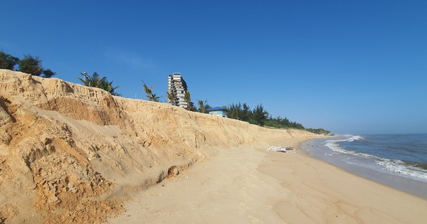 Une belle plage de Quang Binh est gravement érodée.