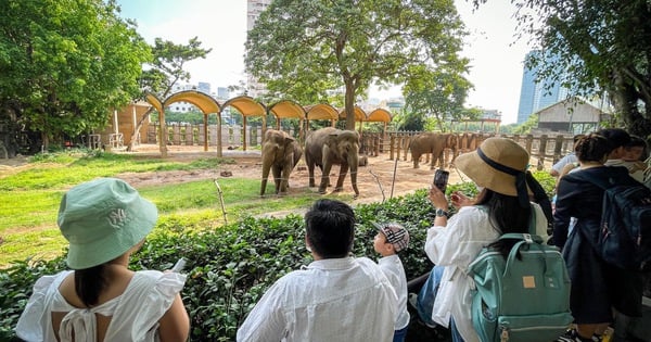 Saigon Zoo feiert 160-jähriges Jubiläum