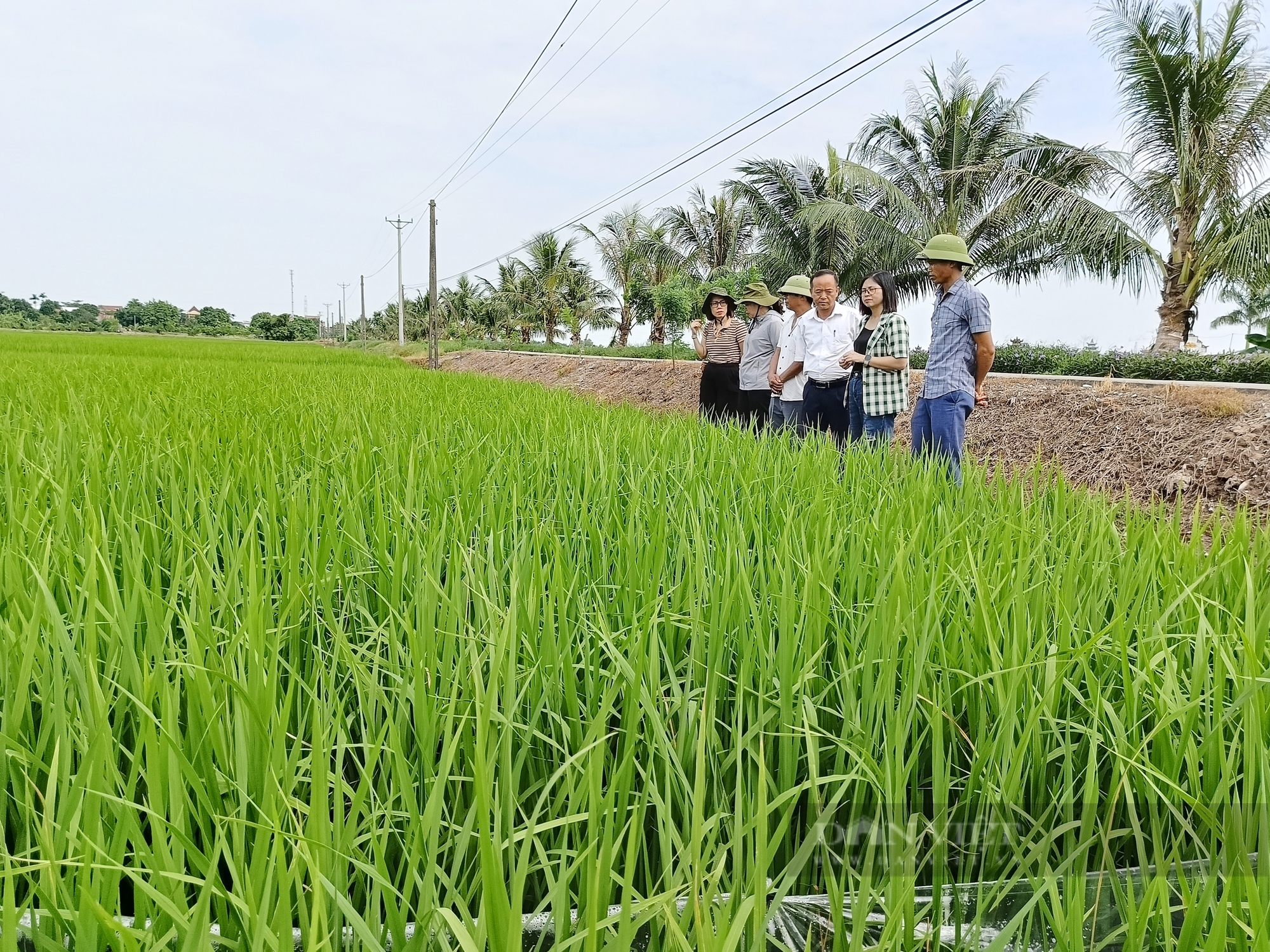 Từng bị gọi là 