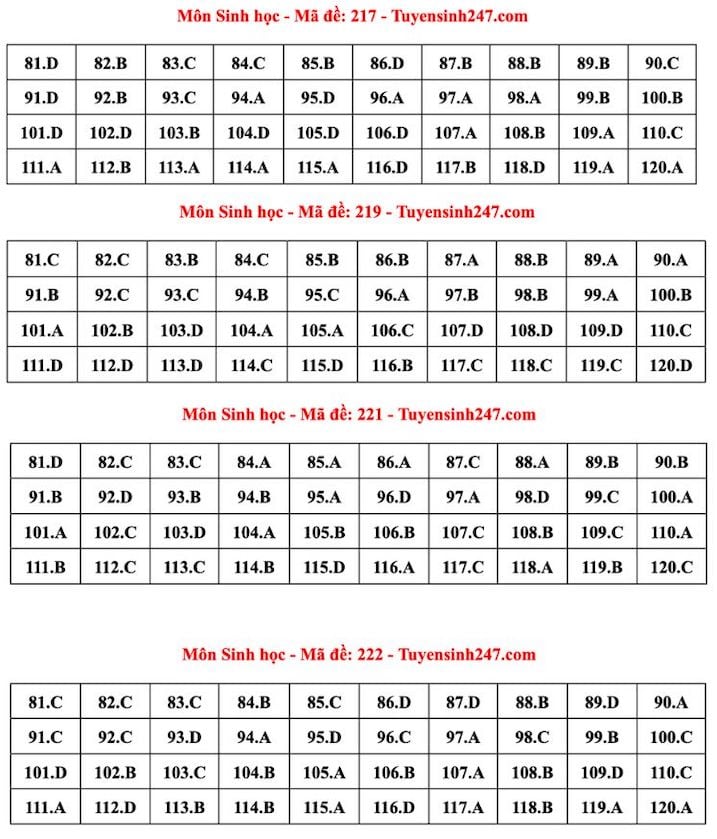 Đáp án tham khảo môn Sinh học tốt nghiệp THPT năm 2024 - mã đề 217, 219, 221, 222 (tiếp tục cập nhật). Ảnh: Tuyensinh247 