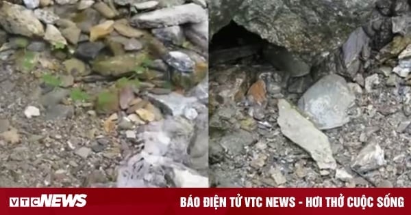 « Shy Stream » : à peine entend-on un bruit que l'eau qui coule disparaît