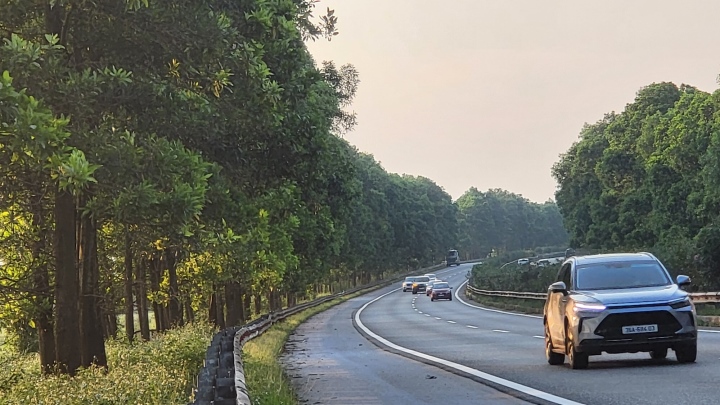 Image de 100 000 arbres abattus des deux côtés de l'autoroute Cau Gie Ninh Binh