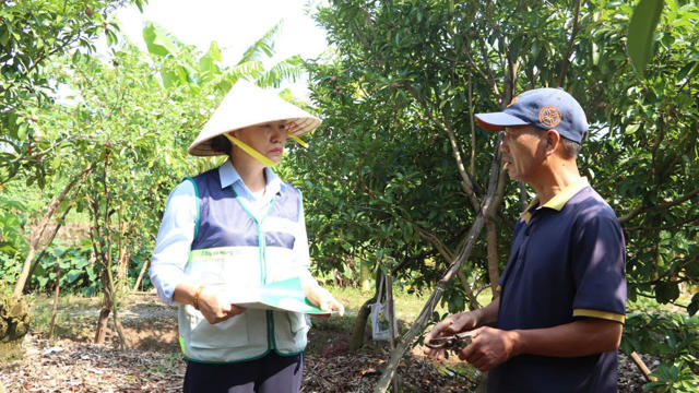 Acompañando a los agricultores para restablecer la producción