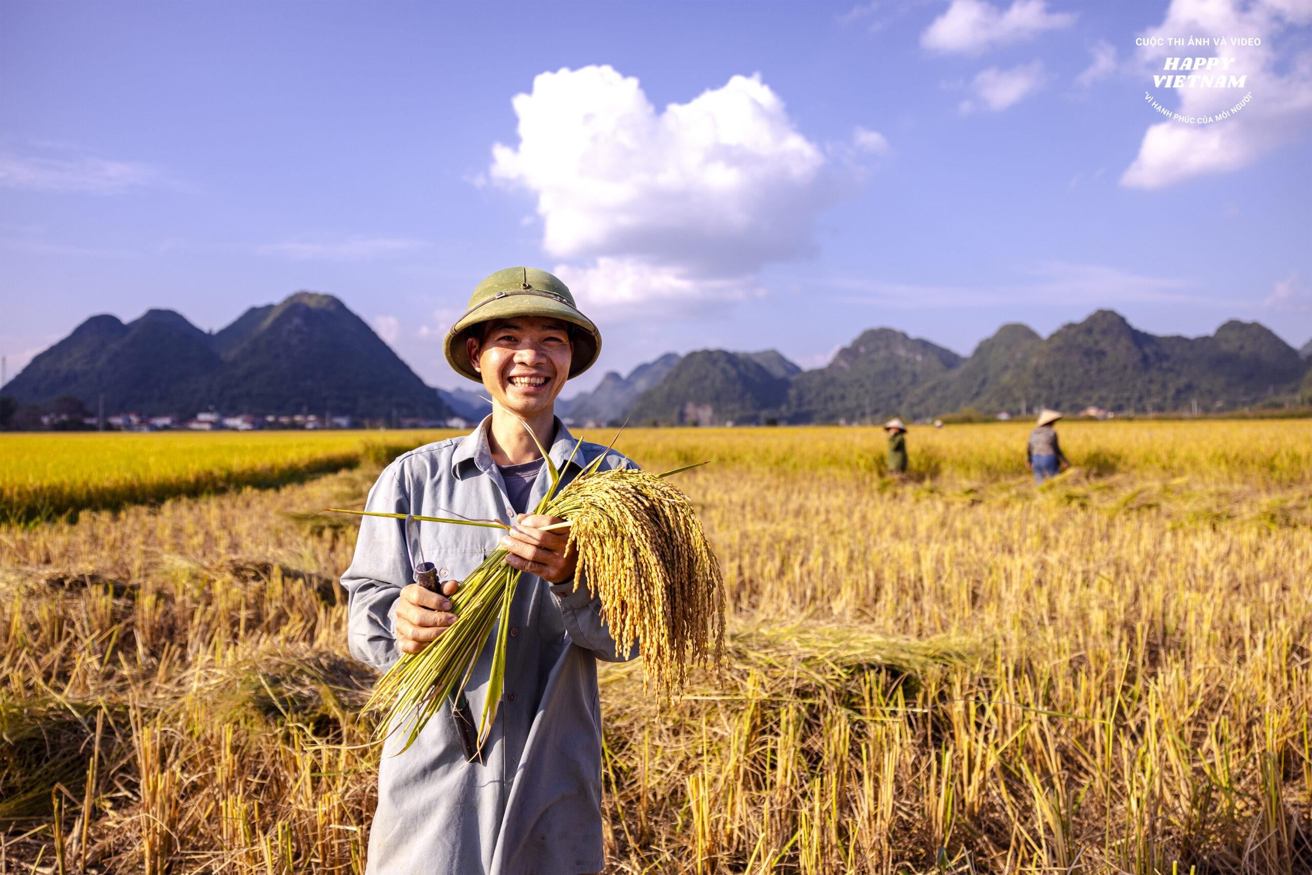 Tác phẩm Nụ cười được mùa