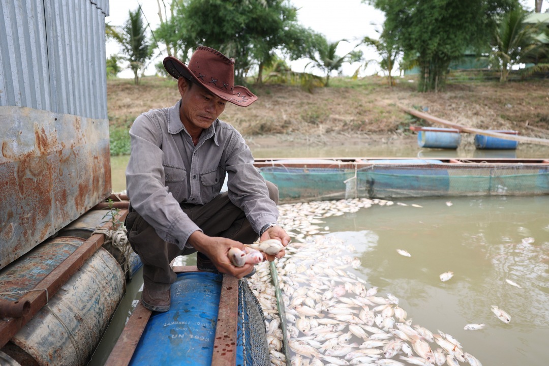 អ្នក​ស្រុក​មិន​ស្រួល​ខ្លួន។