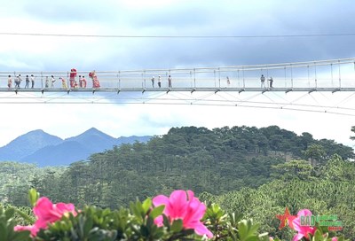 Inauguración del puente de cristal Ngan Thong de 325 metros de longitud en Da Lat