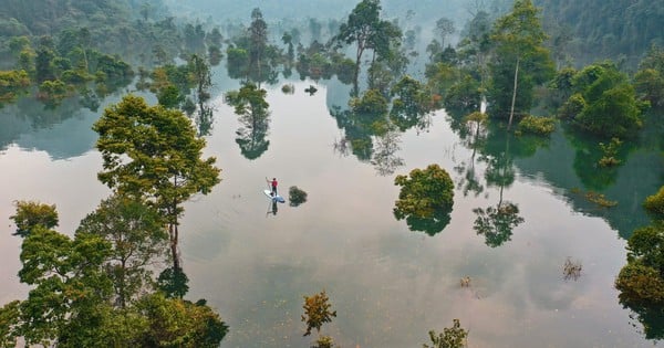 Phong Nha-Ke Bang souhaite devenir une réserve mondiale de biosphère