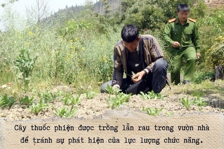 a3.jpg